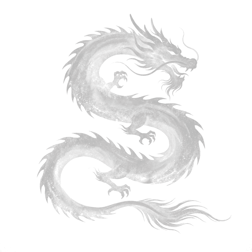 Dragon Shadow Silhouette