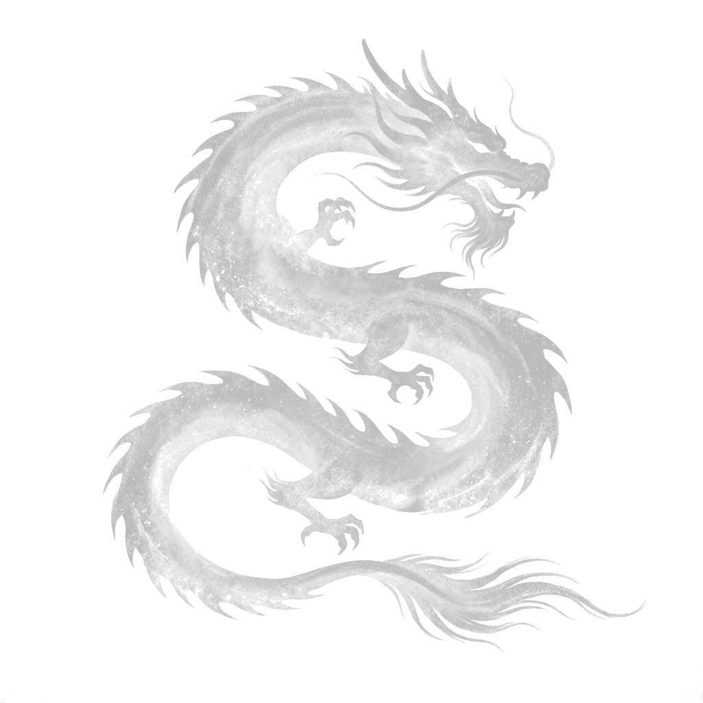 Dragon Shadow Silhouette
